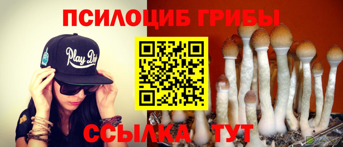 Псилоцибиновые грибы Magic Shrooms Балашиха